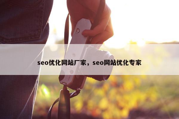seo优化网站厂家，seo网站优化专家