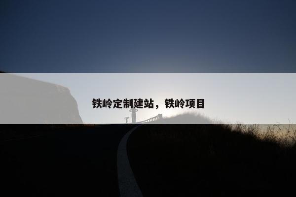 铁岭定制建站，铁岭项目