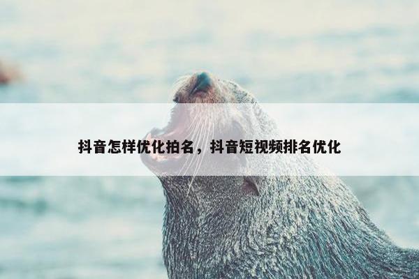 抖音怎样优化拍名，抖音短视频排名优化