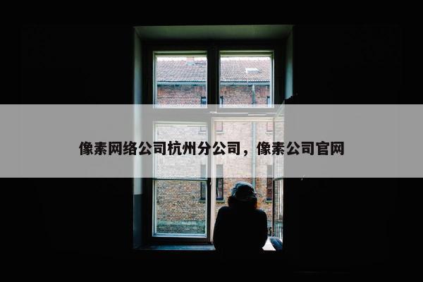 像素网络公司杭州分公司，像素公司官网