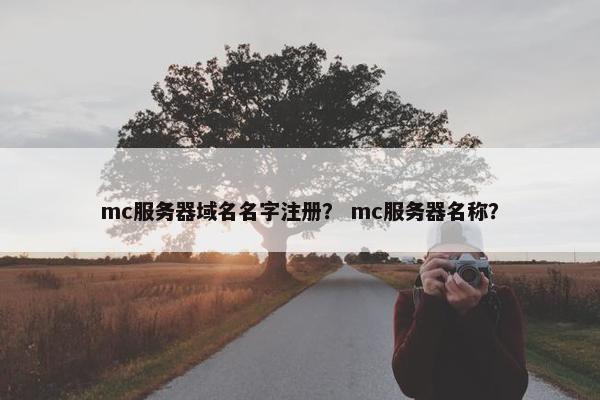 mc服务器域名名字注册？ mc服务器名称？