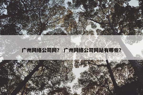 广州网络公司网？ 广州网络公司网站有哪些？