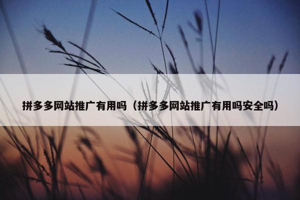 拼多多网站推广有用吗（拼多多网站推广有用吗安全吗）