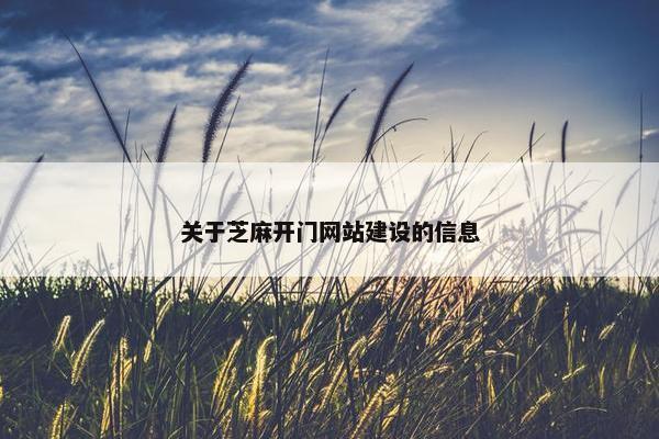 关于芝麻开门网站建设的信息