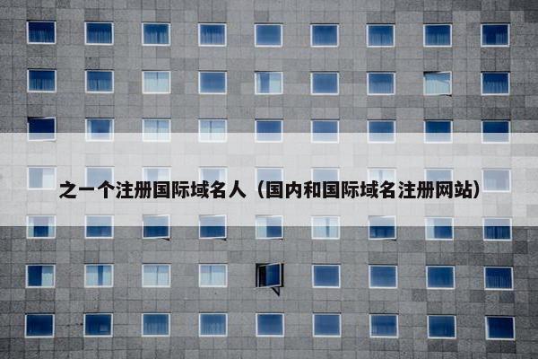 之一个注册国际域名人（国内和国际域名注册网站）
