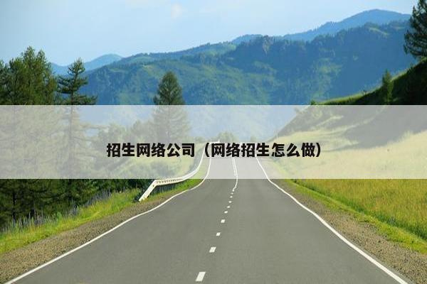 招生网络公司（网络招生怎么做）
