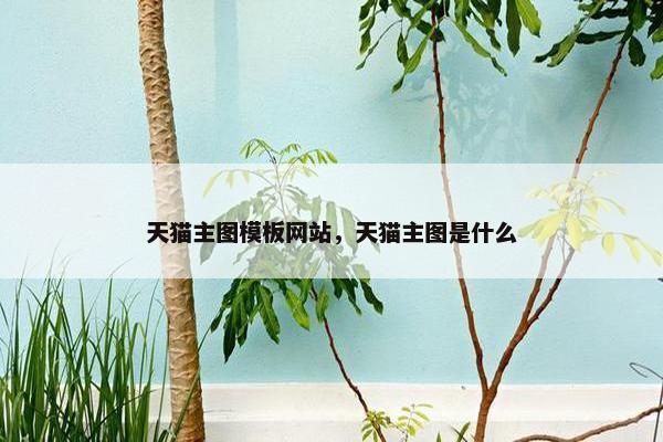 天猫主图模板网站，天猫主图是什么