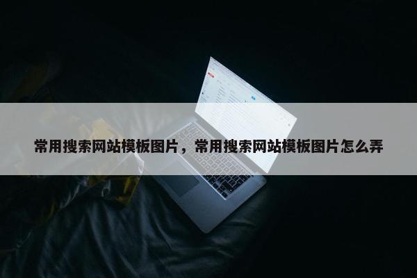 常用搜索网站模板图片，常用搜索网站模板图片怎么弄