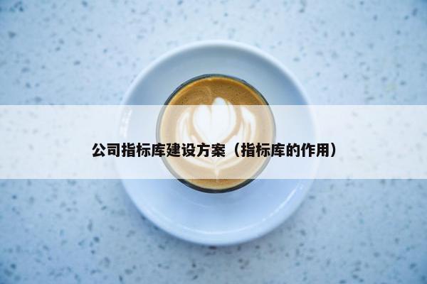 公司指标库建设方案（指标库的作用）