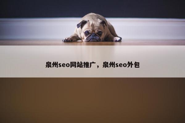 泉州seo网站推广，泉州seo外包