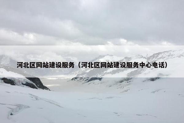 河北区网站建设服务（河北区网站建设服务中心电话）