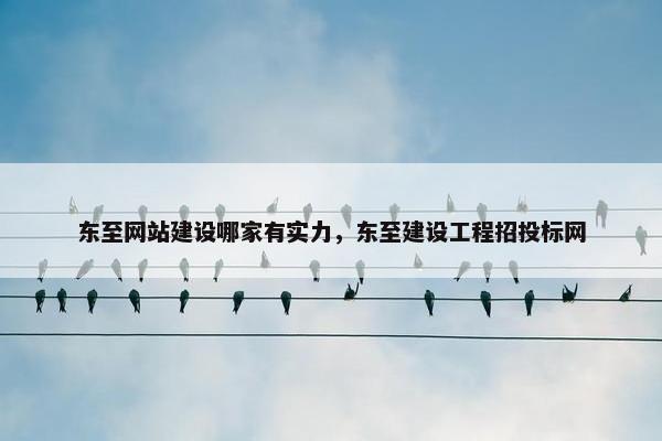 东至网站建设哪家有实力，东至建设工程招投标网