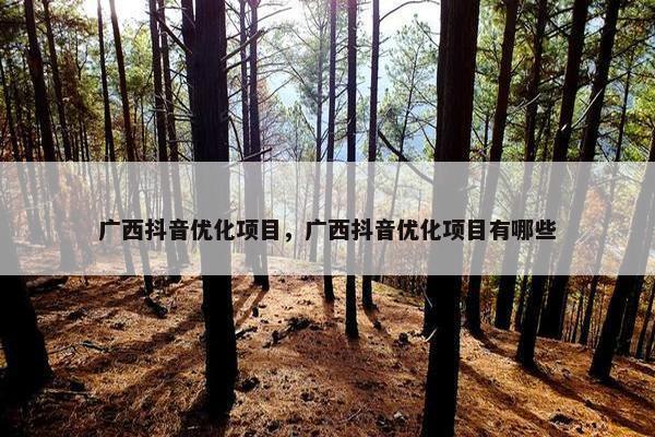 广西抖音优化项目，广西抖音优化项目有哪些