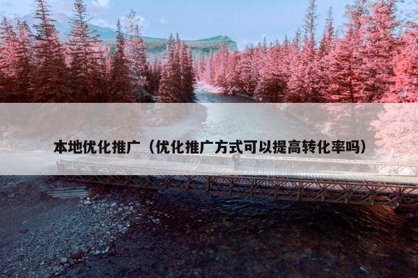 本地优化推广（优化推广方式可以提高转化率吗）