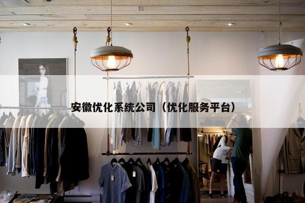 安徽优化系统公司（优化服务平台）
