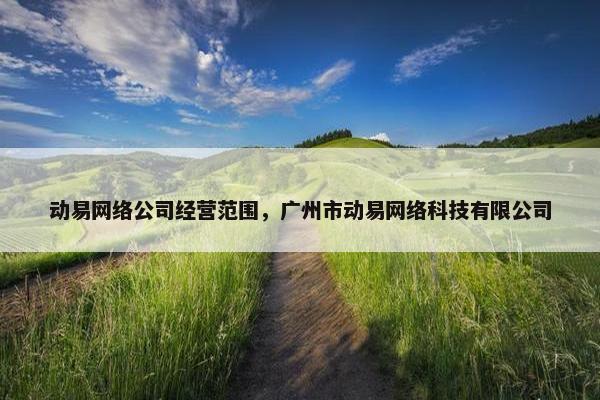 动易网络公司经营范围，广州市动易网络科技有限公司