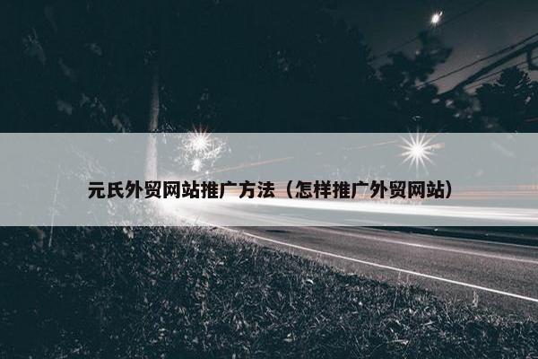 元氏外贸网站推广方法（怎样推广外贸网站）