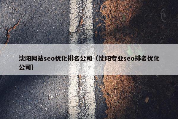 沈阳网站seo优化排名公司（沈阳专业seo排名优化公司）