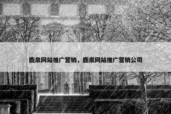 鹿泉网站推广营销，鹿泉网站推广营销公司