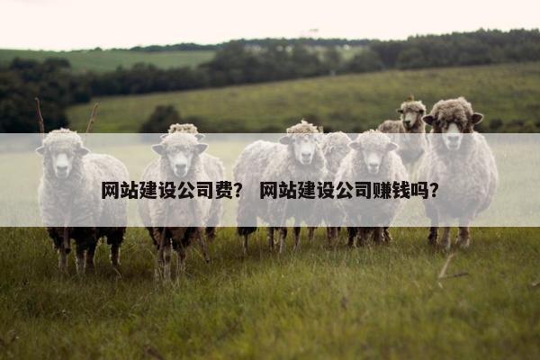 网站建设公司费？ 网站建设公司赚钱吗？