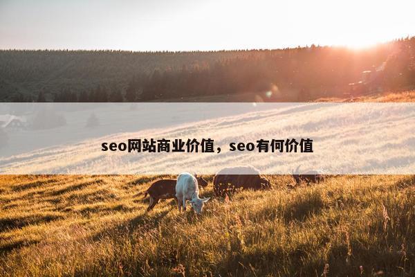 seo网站商业价值，seo有何价值
