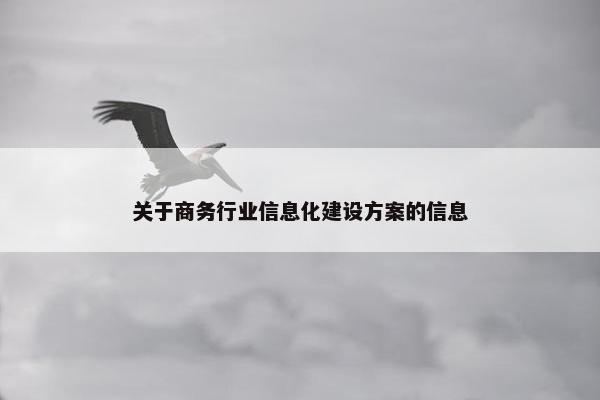关于商务行业信息化建设方案的信息