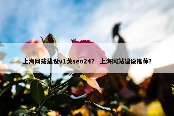 上海网站建设v1戈seo24？ 上海网站建设推荐？