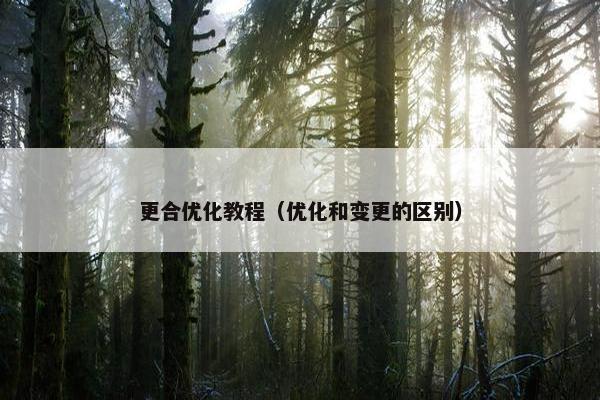 更合优化教程（优化和变更的区别）