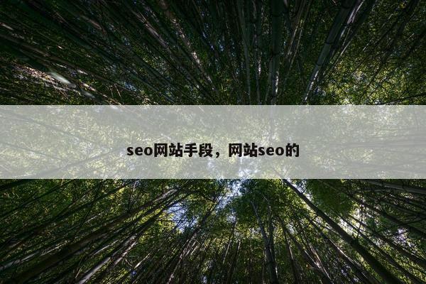 seo网站手段，网站seo的
