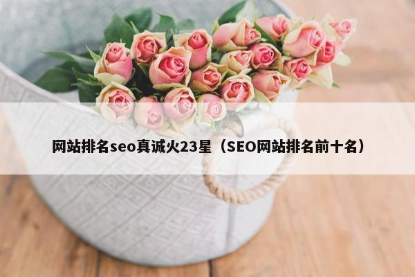网站排名seo真诚火23星（SEO网站排名前十名）