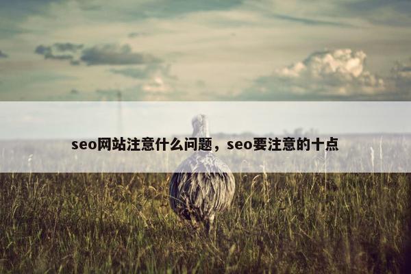 seo网站注意什么问题，seo要注意的十点