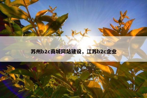 苏州b2c商城网站建设，江苏b2c企业