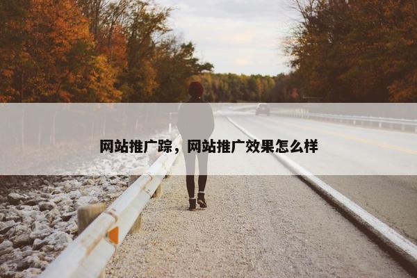 网站推广踪，网站推广效果怎么样