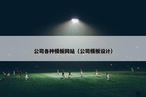 公司各种模板网站（公司模板设计）
