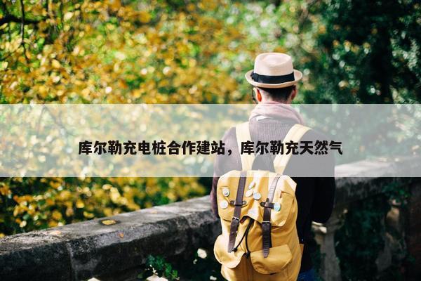 库尔勒充电桩合作建站，库尔勒充天然气