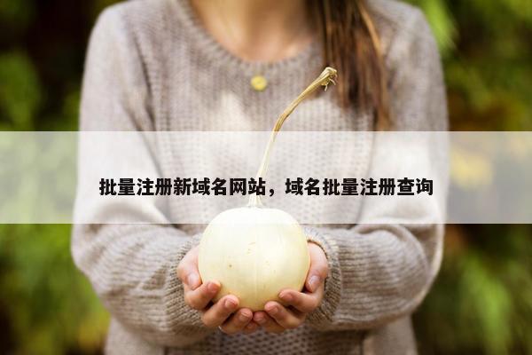 批量注册新域名网站，域名批量注册查询