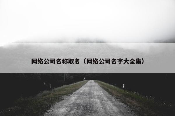 网络公司名称取名（网络公司名字大全集）