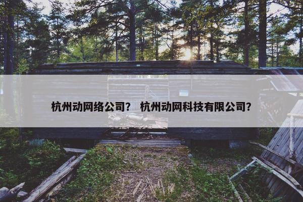 杭州动网络公司？ 杭州动网科技有限公司？