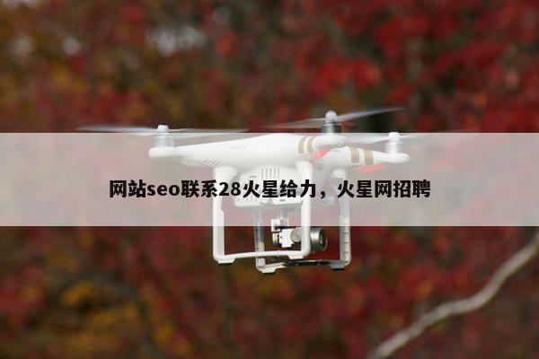 网站seo联系28火星给力，火星网招聘