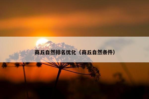 商丘自然排名优化（商丘自然条件）