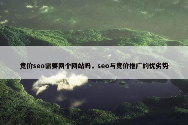 竞价seo需要两个网站吗，seo与竞价推广的优劣势