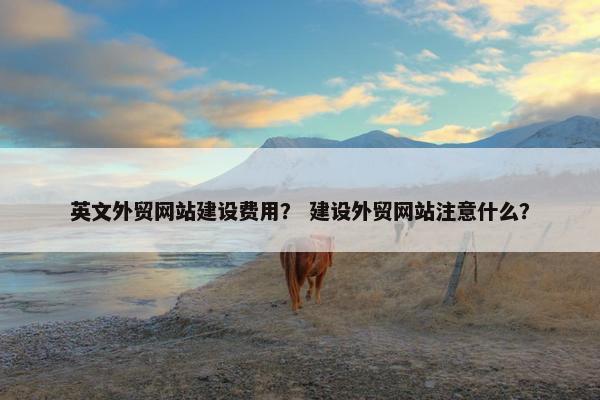 英文外贸网站建设费用？ 建设外贸网站注意什么？