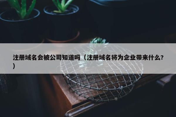 注册域名会被公司知道吗（注册域名将为企业带来什么?）