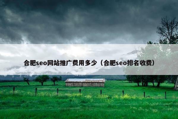 合肥seo网站推广费用多少（合肥seo排名收费）