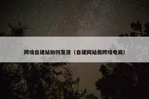 跨境自建站如何发货（自建网站做跨境电商）