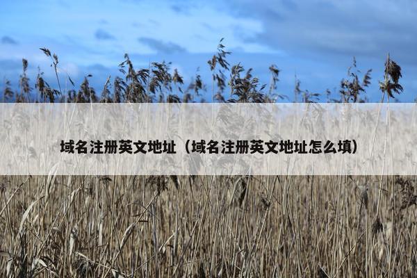 域名注册英文地址（域名注册英文地址怎么填）