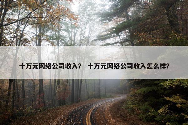 十万元网络公司收入？ 十万元网络公司收入怎么样？