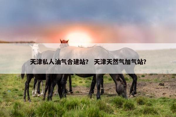 天津私人油气合建站？ 天津天然气加气站？