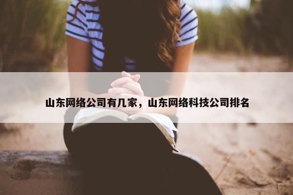 山东网络公司有几家，山东网络科技公司排名
