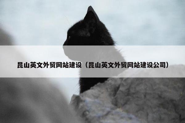 昆山英文外贸网站建设（昆山英文外贸网站建设公司）